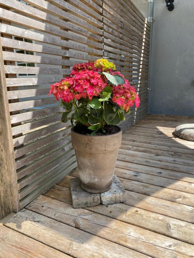 Apt17 - Just Outside Of - Rural And Quiet Surroundings Lägenhet Billund
